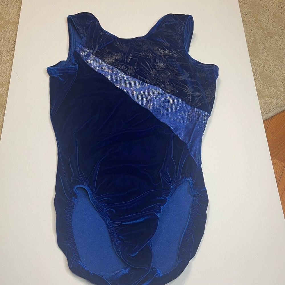 Girls Blue and Silver Velvet Gymnastics Dance Leotard Girls Large/XL